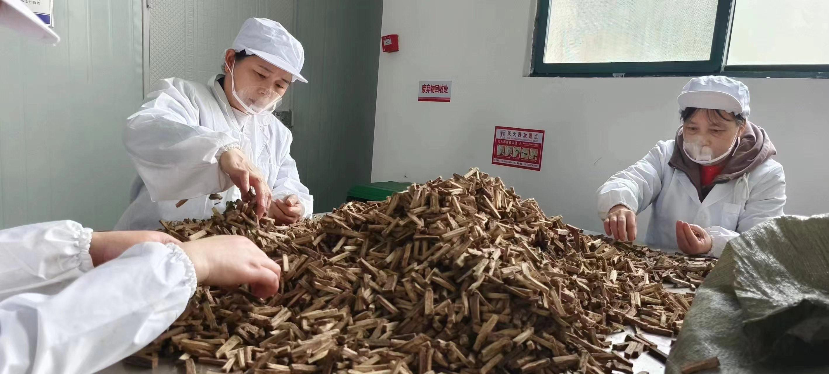 葛根加盟,葛根廠家,葛根品牌